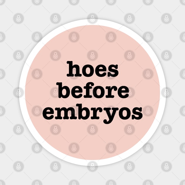 Hoes Before Embryos Magnet by bellamuert3